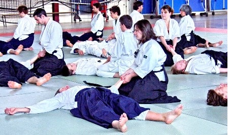 AIKIDO QI-GONG YOGA TAICHI etc des voies proches du Taïkido
